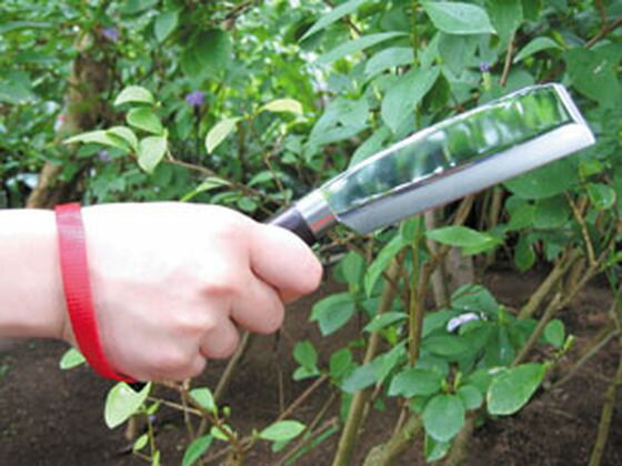 �ڤ����󤻡����Ŀ�ʪ ���ƥ�쥹���ݥʥ� No.4165 �� ���� ���Ȼ�� ������� ������� ����