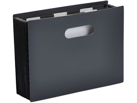 キングジム サクッと整理ドキュメントファイル オープン A4 黒 2291-BK 書類ファイル ケースファイル 書類ケース 書類キャリー ドキュメントキャリー ファイル