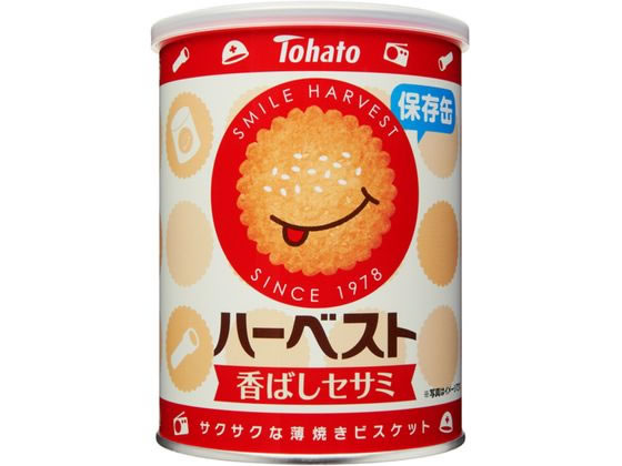 JET PRICE㤨ϥ ϡ٥ ¸ 32     ɺҡפβǤʤ435ߤˤʤޤ