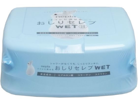 �ͥԥ� �����ꥻ���WET ���� 40�� ������դ� ����� �٥ӡ�����