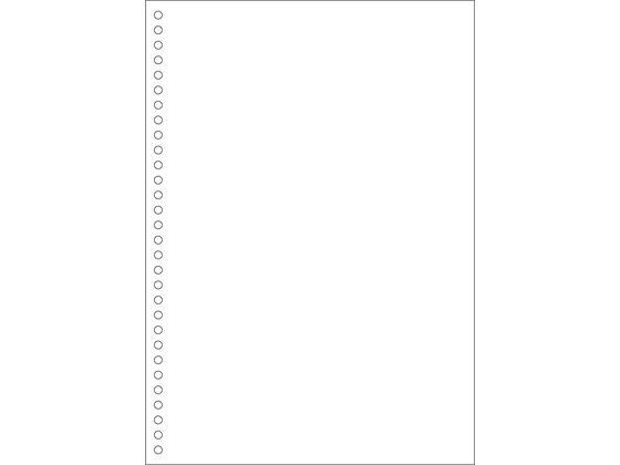 ヒサゴ マルチプリンタ帳票(エコノミープライス)A4 白紙 30 2500枚