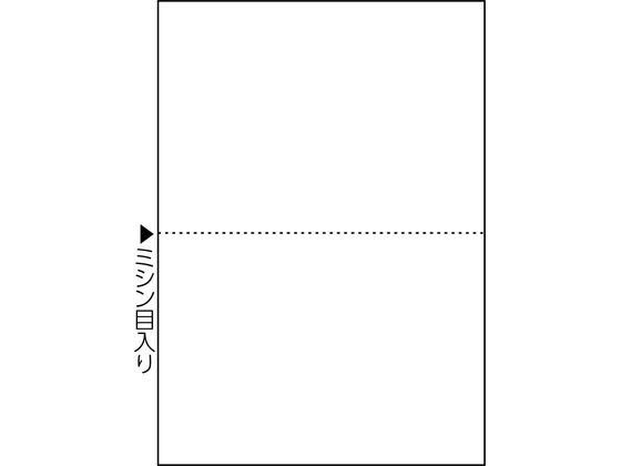 �ҥ��� �ޥ���ץ��Ģɼ A5 ��� 2�� 100�� FSC2054