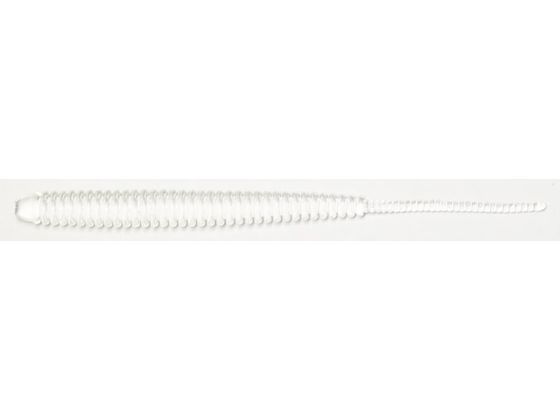 【お取り寄せ】レイン アジアダーPro #116 必殺クリアーのサムネイル