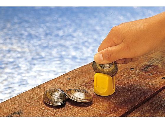 【お取り寄せ】第一精工 王様 アケミ貝割り器 ミニ 便利グッズ 釣り用品 釣り具 アウトドア