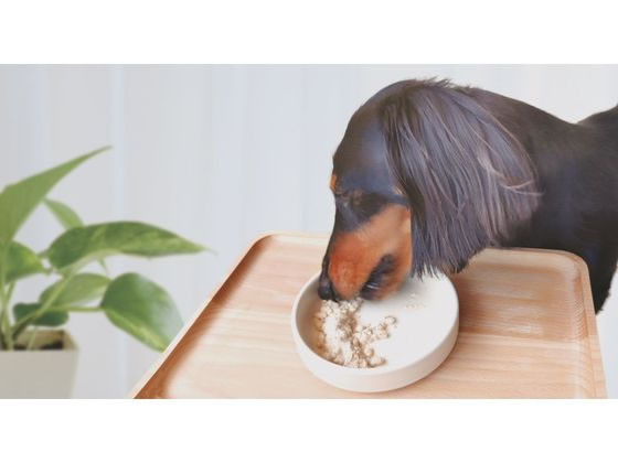 サンプル画像3