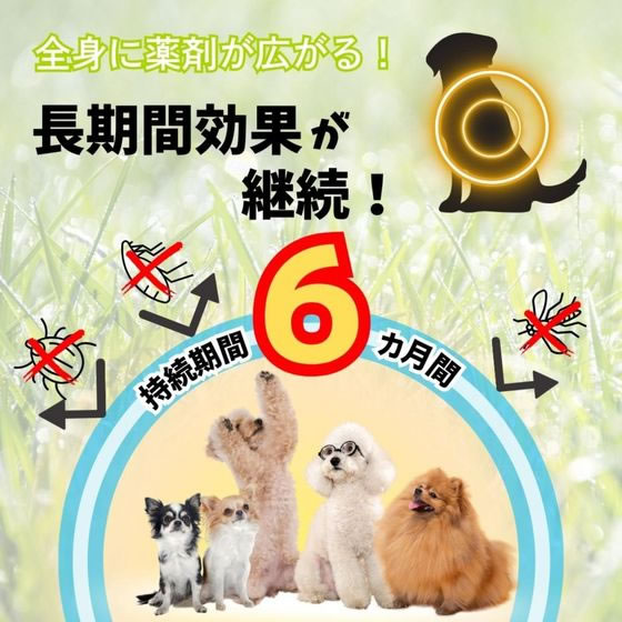 �ڤ����󤻡ۥ��������ڥå� ���ѥΥߡ��ޥ��ˤȤ�&��褱���� ������ �� �Υߥ����к� �� �ɥå��� �ڥå� ����