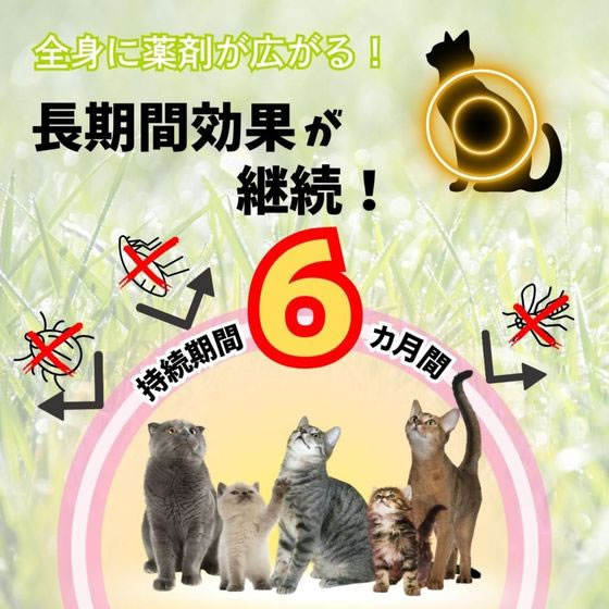 �ڤ����󤻡ۥ��������ڥå� ���ѥΥߡ��ޥ��ˤȤ�&��褱���� ǭ �ԥ� �Υߥ����к� ǭ ����å��� �ڥå� ����