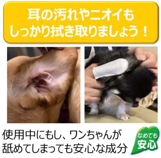 �ڤ����󤻡ۥ��������ڥå� JOYPET �إ��å����ޤǥ��쥤 35�� ���̥��å� �ڥå� ������ ���襰�å� �ڥåȥϥ���