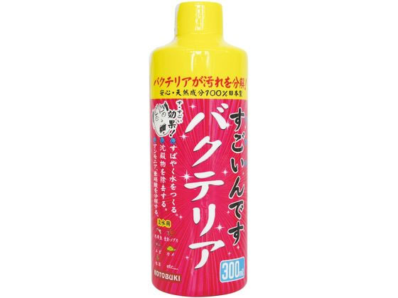 �ڤ����󤻡ۼ����� ��������Ǥ� �Х��ƥꥢ 300mL ������� ���ᥰ�å� ���å� �Ѿ޵� �ڥå� �������ꥦ��