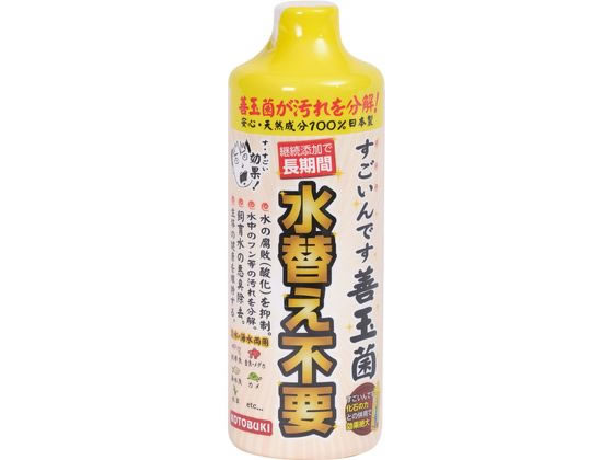 �ڤ����󤻡ۼ����� ��������Ǥ� ���̶� 480mL ������� ���ᥰ�å� ���å� �Ѿ޵� �ڥå� �������ꥦ��