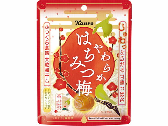 カンロ やわらかはちみつ梅 おつまみ 珍味 煎餅 おかき お菓子