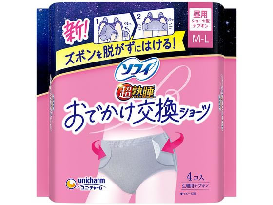 ��ˡ����㡼�� ���ե� Ķ�Ͽ� ���Ǥ����򴹥��硼�� ���� ML 4�� �ʥץ��� ����