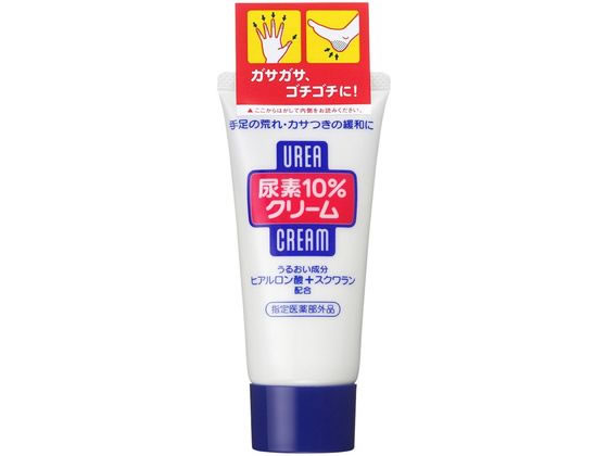 �ե�����ȥ��ǥ� Ǣ��10%���꡼��(���塼��)f �ܥǥ����꡼�� ������ �Х� �ܥǥ����� �����󥱥�