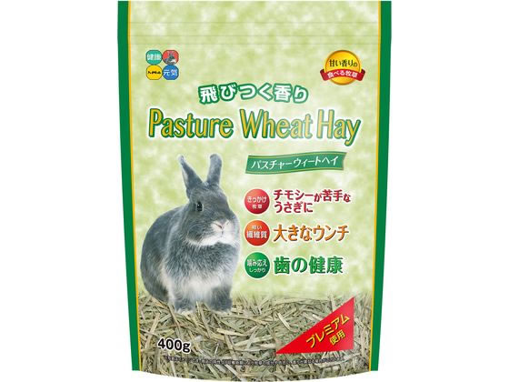 訳あり)ハイペット パスチャーウィートヘイ 400g ハムスター ウサギ フード 小動物 ペット ウサギ ハムスター