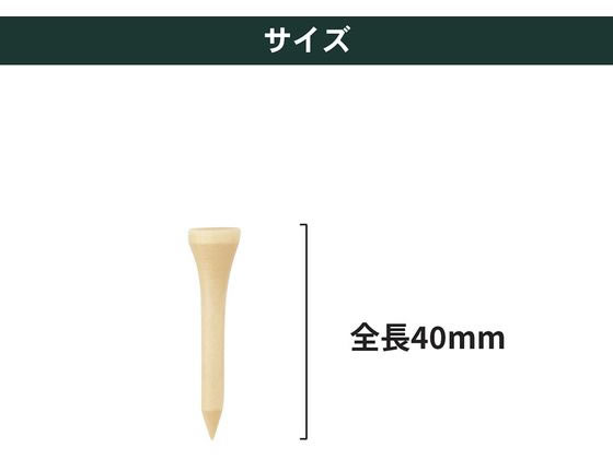 �ڤ����󤻡�Tabata GOLF ���Х������ ���ڥƥ��� ���硼�� GV0432