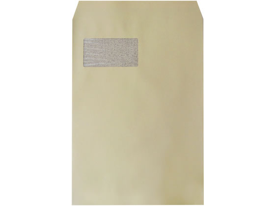 (まとめ) マルアイ ワンタッチセーフパック一般書籍等用 内寸210×255mm SP-TM130 1パック（10枚） 【×10セット】