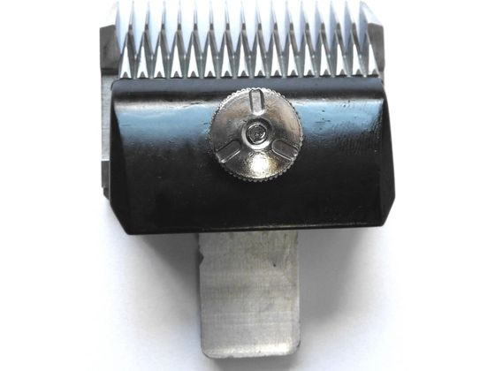 �ڤ����󤻡ۻ��� Bloom�Хꥫ�����ؿ� 6mm �� �ɥå��� �ڥå� ����