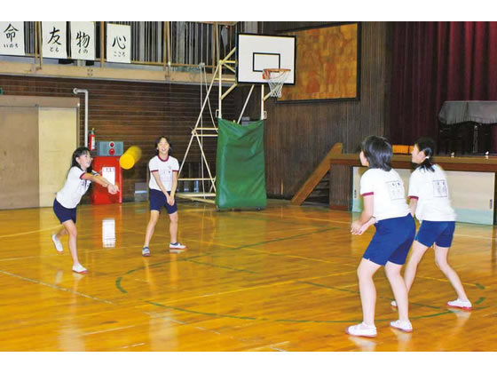 �ڤ����󤻡�TOEI LIGHT �ȡ������饤�� ���եȥϥ��Х��󥺥ܡ���150 ��