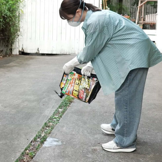 フマキラー カダン 除草王シャワーS エコパウチ 4.5L