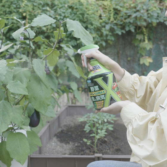 フマキラー カダン ベジMAX 1000mL 殺虫剤 忌避剤 除草剤 園芸 ガーデニング