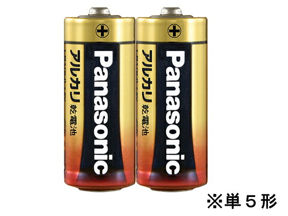 訳あり)パナソニック アルカリ乾電池単5形2本 LR1XJ 2B アルカリ乾電池 単5 アルカリ電池 充電池 家電