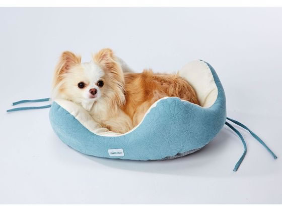 �ڤ����󤻡ۥڥƥ������ɥᥤ�� ���ߤꤷ�䤹���ѥԡ��٥åɥ��������� �� �ɥå��� �ڥå� ������ ���襰�å� �ڥåȥϥ���