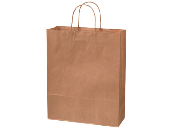 スーパーバッグ 紙手提袋 茶無地 丸紐L 50枚 紙手提袋 丸紐 手提袋 ラッピング 包装