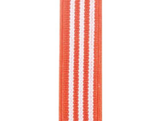 【お取り寄せ】ライオン事務器 ゴムdeパッチ シンプル オレンジ GP-153 16666