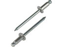 【お取り寄せ】エビ ブラインドリベット(ステンレス/スティール製) 5-8(300本入) エコBOX NSS 58EB ボルト 素材 ねじ 釘 作業 工具