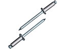 【お取り寄せ】エビ ブラインドリベット(ステンレス/スティール製) 6-12(12本入) エコパック NSS612MP ボルト 素材 ねじ 釘 作業 工具
