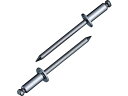 【お取り寄せ】エビ ブラインドリベット(ステンレス/ステンレス製) 6-6(15本入) エコパック NST66MP ボルト 素材 ねじ 釘 作業 工具
