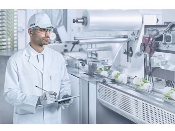 �ڤ����󤻡�UVEX ���� ���٥å��� ���ե��å� 2112045 2112085 ���� ���䡼�ץ饰 ���䡼�ޥ� �����ݸ�� ���