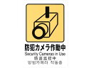 【お取り寄せ】光 多国語ピクトサイン 防犯カメラ作動中 TGP2032-8 壁掛けサインプレート 案内板 サインプレート フロアシール サイン POP 掲示用品
