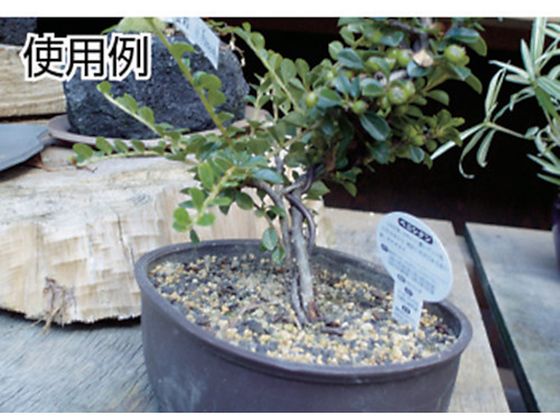 �ڤ����󤻡�TRUSCO ������� �֥��󥺥����� 4mm TAW-40BZ �������� ���۶�ʪ ���� ���ۻ��