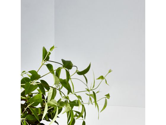 �ڤ����󤻡ۥ����ꥵ��ǡ� ����ǡ�������Ʃ��910��300��0.5mm 100-SN-0.5 �����Ǻ� �ͤ� �ܥ�� ţ �Ǻ� ������� ����