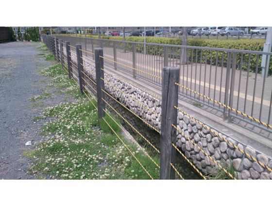 �ڤ����󤻡ۥ楿���ᥤ�� ������ ɸ��������(OB) 9��15 YEB-915 �ȥ������ ��¤��ɳ ����