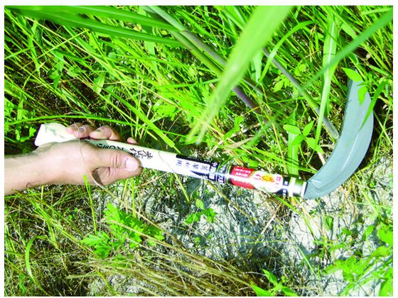 �ڤ����󤻡�˭̭ ��������ޥå������ҿ������ HTS-5081 �� ���� �ĥ�ϥ� ���� ���Ȼ�� ������� ������� ����