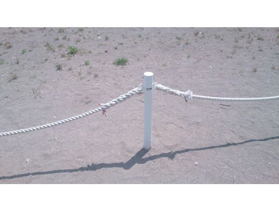 �ڤ����󤻡ۥ楿���ᥤ�� ������ �ݥꥨ���ƥ������3���� 6mm��10m A-503 �ݥꥨ���ƥ������ ��¤��ɳ ����