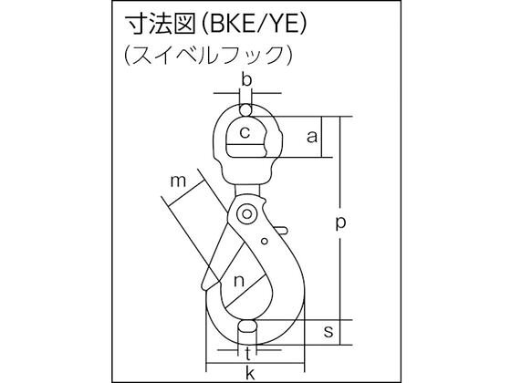 【お取り寄せ】象印 チェーンスリング100 アイタイプ 荷重2.5t線径10.0mm ワイヤー...