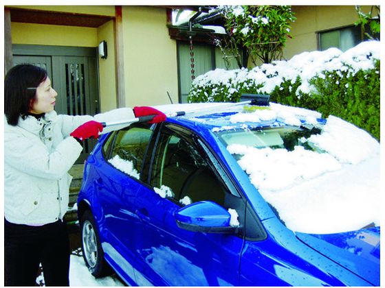 ����ѥ� ����ߥ��Ρ��֥饷��E�� 009859 �㤫�� ������ ���� ���� ���