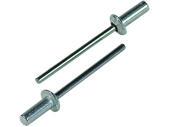 【お取り寄せ】エビ ブラインドリベット(シールドタイプ) アルミニウム/スティール製 6-3(30本入) エコパック NSA63CMP ボルト ねじ 釘 素材 ...