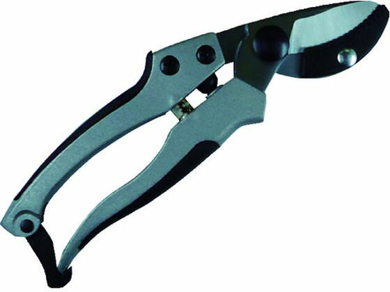 ڤ󤻡DAISHIN EG ߥ㥹 ӥ뷿 502136 ϥ  Ȼ   