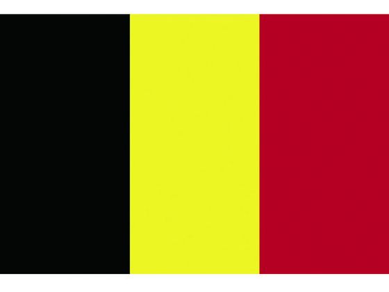 【お取り寄せ】東京製旗 卓上旗(16×24cm)ベルギ- 406667 安全標識 ステッカー 現場 安全 作業