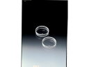 【お取り寄せ】サンプラ TPXシャーレ 90mm×17mm 10個入 2360E ラック スタンド ホルダー 実験用 小物 機材 研究用
