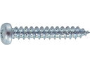 【お取り寄せ】TRUSCO ナベ頭タッピングねじ ユニクロ M6×50 21本入 B07-0650 ボルト 素材 ねじ 釘 作業 工具