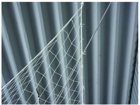 �ڤ����󤻡ۥ楿���ᥤ�� ������ �ʥ����������3���� 3�ա�20m A-70 �ʥ���������� ��¤��ɳ ����