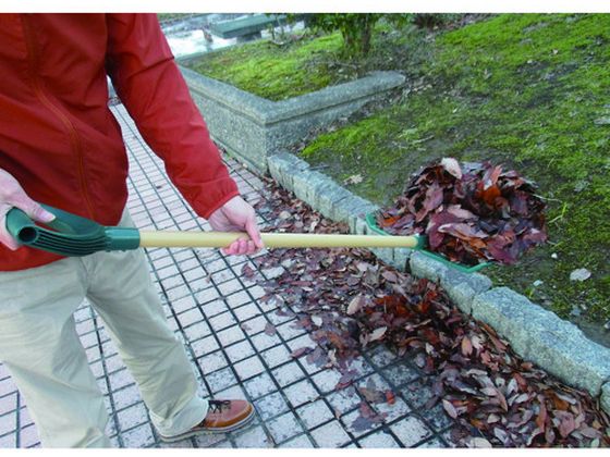 �ڤ����󤻡ۥ���ѥ� �����ǥ󡦥ۡ���17���� 029710 ���� �졼�� ���� ���Ȼ�� ������� ������� ����