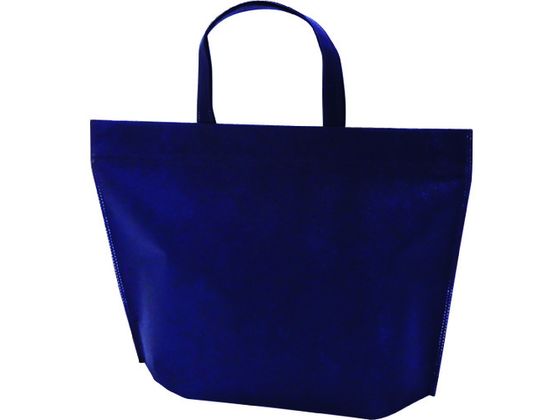 【お取り寄せ】エーワン カラークール チャックシールトート 大 紺 LC0630AD20 クーラーボックス クー..