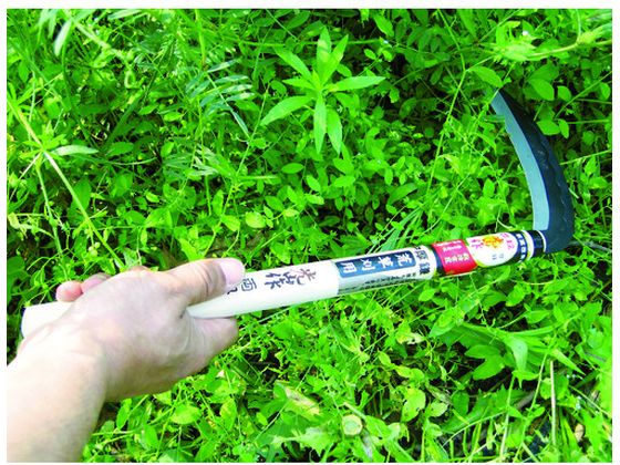 �ڤ����󤻡�˭̭ ������ ξ������� HT-0520 �� ���� �ĥ�ϥ� ���� ���Ȼ�� ������� ������� ����