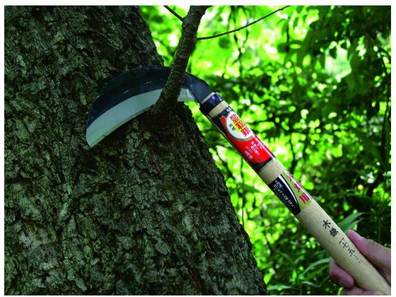 �ڤ����󤻡�˭̭ �������ҿ��ڳ�175mm HT-0620 �� ���� �ĥ�ϥ� ���� ���Ȼ�� ������� ������� ����